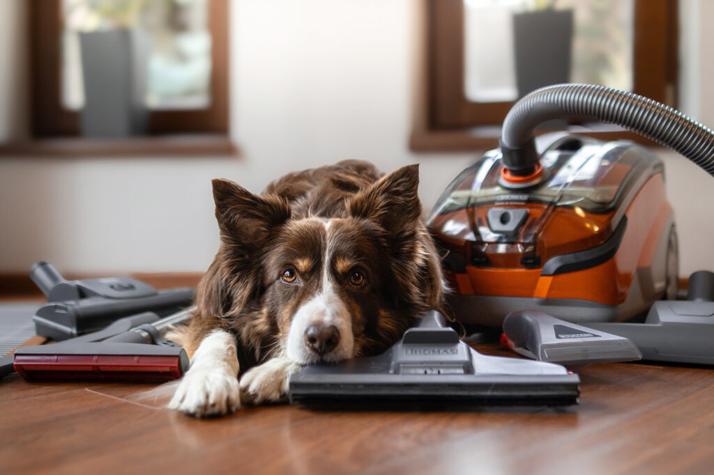 Hond en stofzuiger